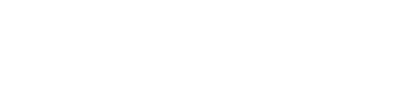 Tiny Bird